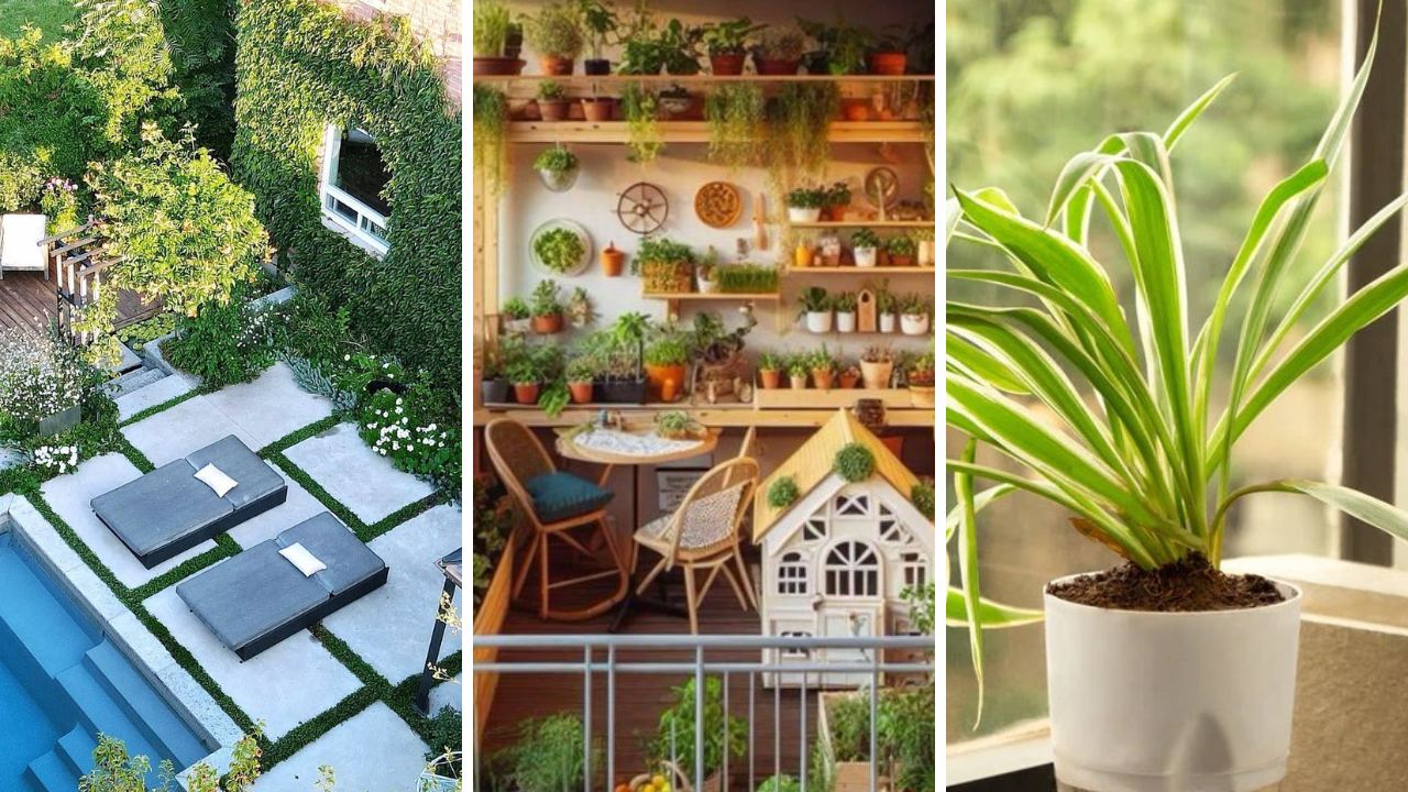 apartment garden