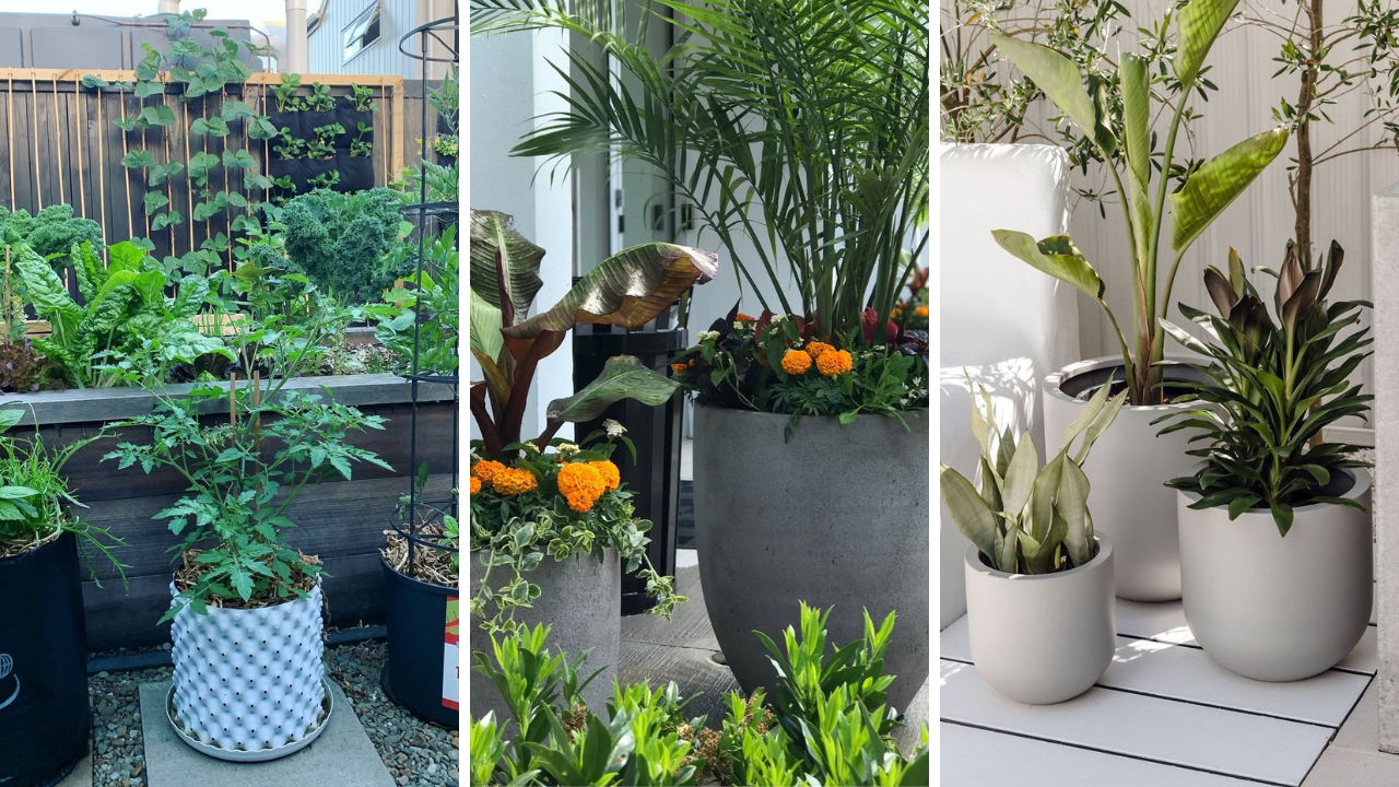 balcony garden