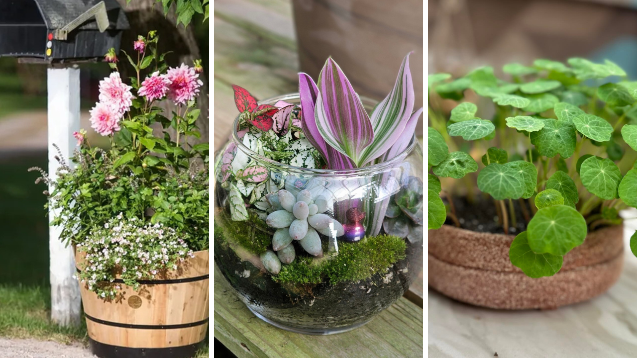 garden containers