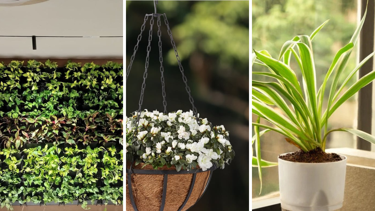 gardening container ideas