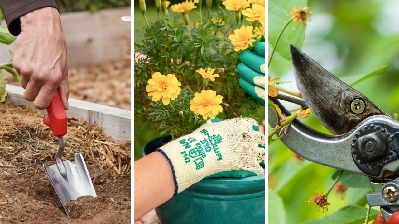 gardening tools for beginners
