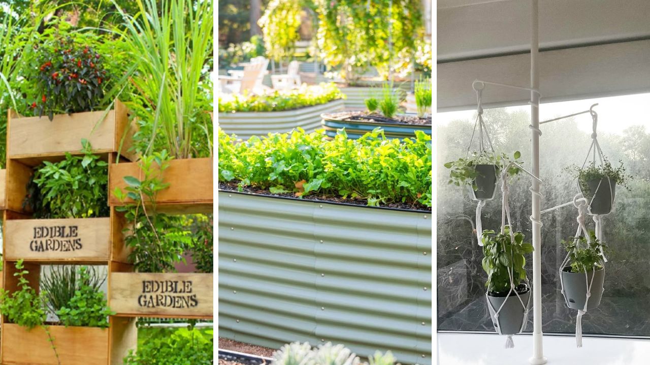 herb garden ideas