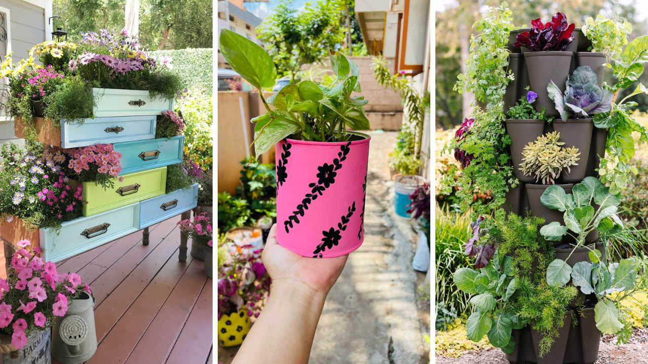 mini gardening ideas