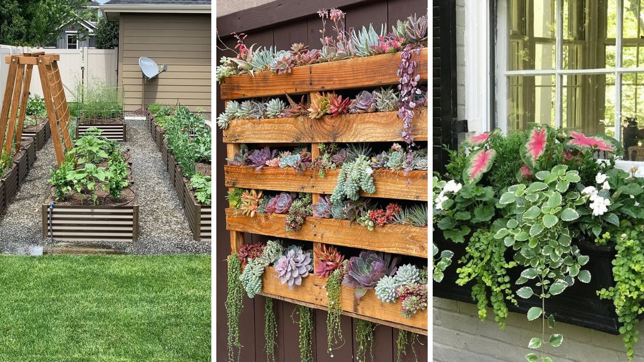 small garden design