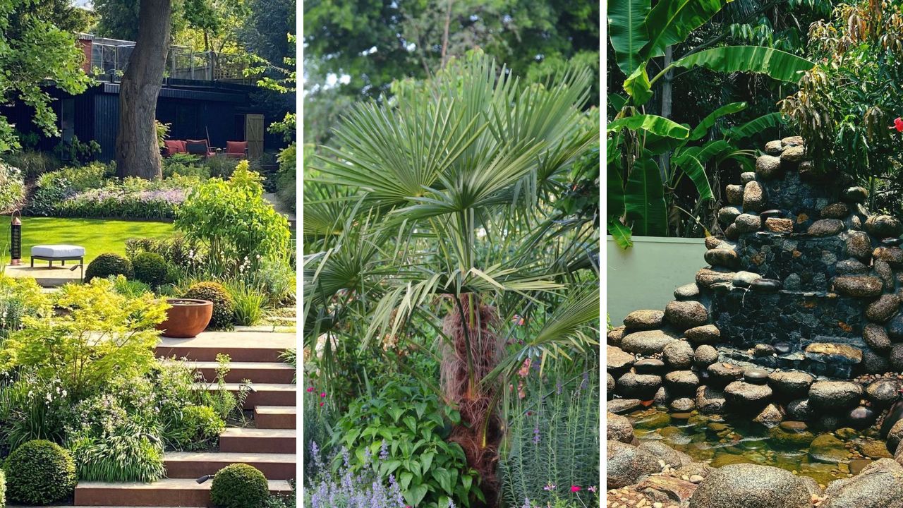 tropical garden design